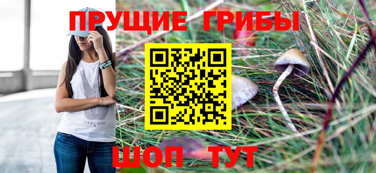 Новоалександровск  Галлюциногенные грибы MAGIC MUSHROOMS  Вход с VPN 